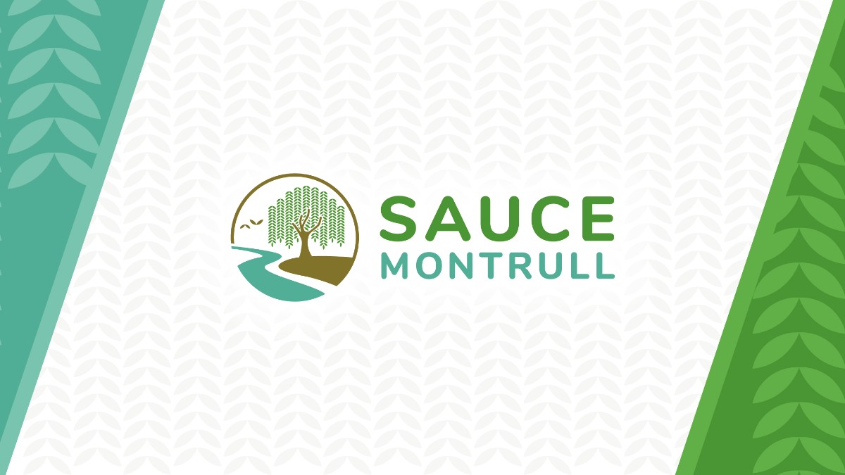 Les presentamos la nueva identidad de Sauce Montrull